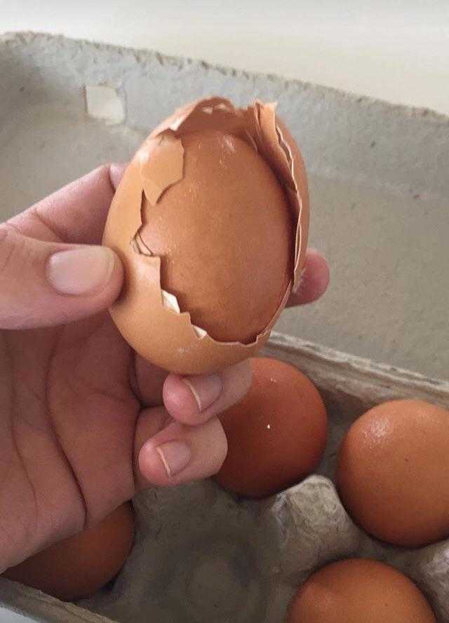 странные яйца, странные яйца которые удивили птиц которые их снесли